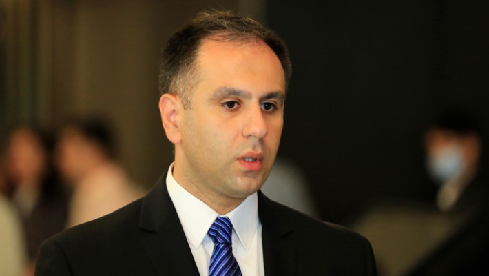 ერთჯერადი სუბსიდირებით სოფლის მეურნეობაში არსებული პრობლემების მოგვარება შეუძლებელია